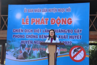 Huyện Ngọc Hồi tổ chức Lễ ra quân diệt lăng quăng, bọ gậy phòng chống sốt xuất huyết